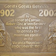 Gorilla Plaque