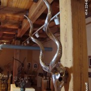 Kudu Sculpture