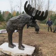 Bronze Moose Sculpture