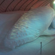Whales Snow Sculpture